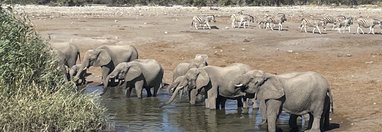 Souvenir du voyage de Fabien, Namibie