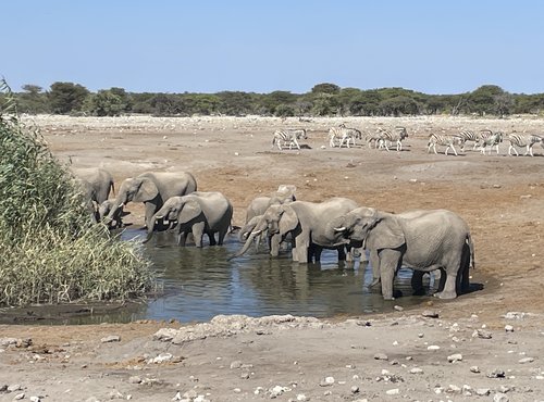 Souvenir du voyage de Fabien, Namibie