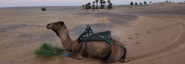 Souvenir du voyage de Corinne, Maroc