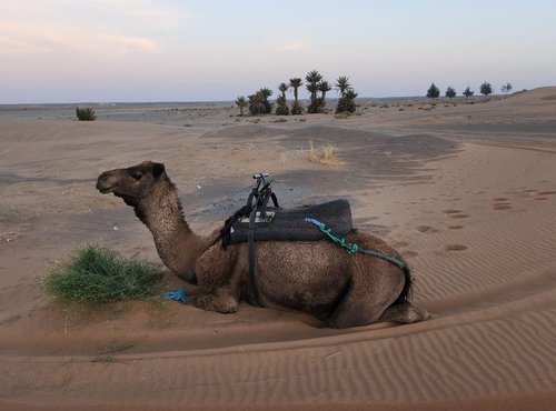 Souvenir du voyage de Corinne, Maroc