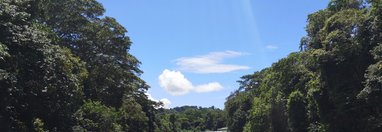Souvenir du voyage de Salvatore, Costa Rica