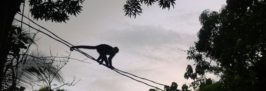 Souvenir du voyage de Salvatore, Costa Rica