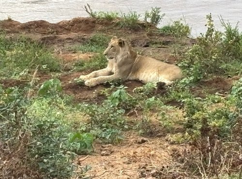 Souvenir du voyage de Jean Marc, Kenya