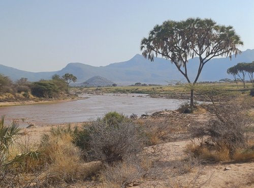Souvenir du voyage de Jean Marc, Kenya