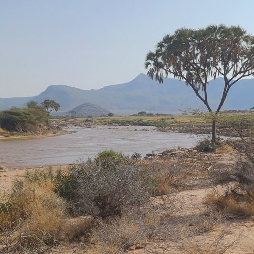 Souvenir du voyage de Jean Marc, Kenya