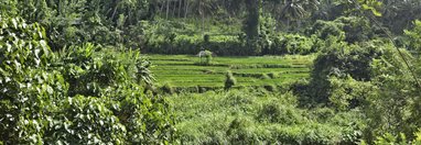Souvenir du voyage de Nancy, Sri Lanka