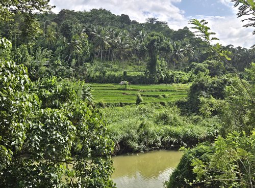 Souvenir du voyage de Nancy, Sri Lanka