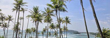 Souvenir du voyage de Nancy, Sri Lanka