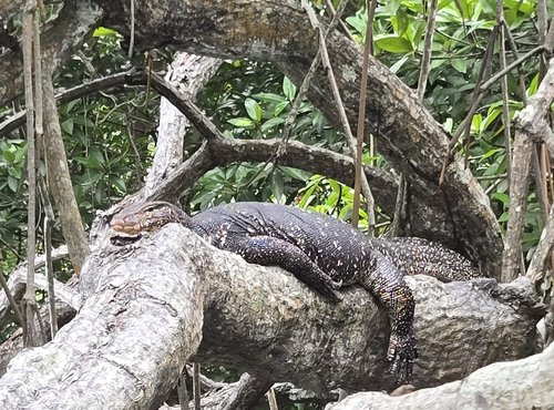 Souvenir du voyage de Nancy, Sri Lanka