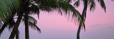 Souvenir du voyage de Nancy, Sri Lanka