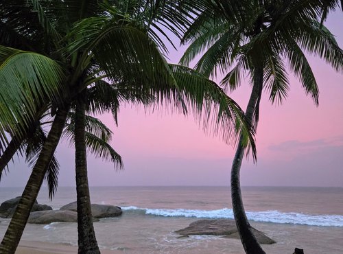 Souvenir du voyage de Nancy, Sri Lanka