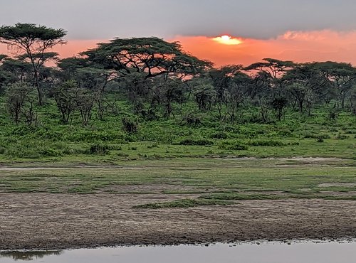 Souvenir du voyage de Jean Michel, Tanzanie