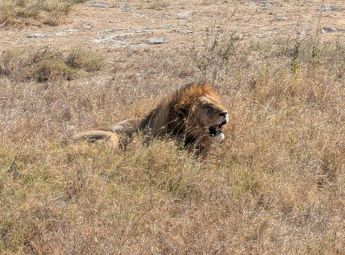 Souvenir du voyage de Guillaume, Tanzanie