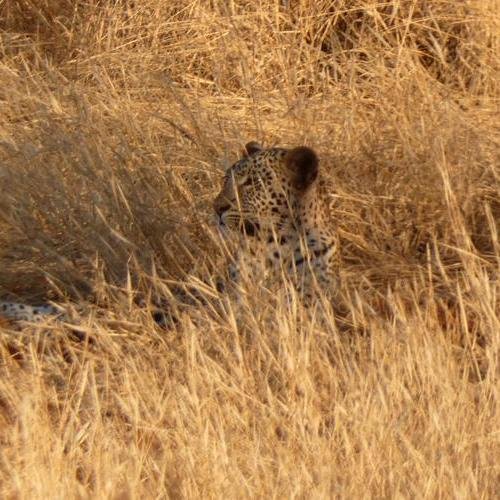 Souvenir du voyage de Lucas, Kenya