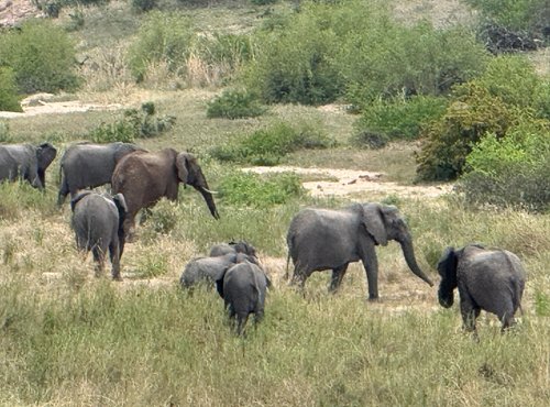 Souvenir du voyage de Pamela, Afrique du Sud