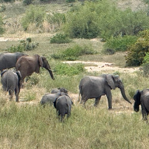 Souvenir du voyage de Pamela, Afrique du Sud