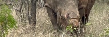 Souvenir du voyage de Pamela, Afrique du Sud