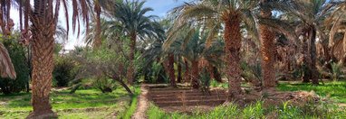 Souvenir du voyage de Claire, Maroc