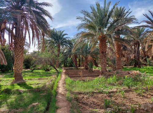 Souvenir du voyage de Claire, Maroc