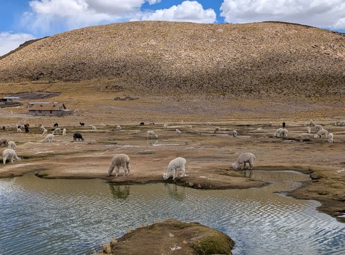 Souvenir du voyage de Isabelle, Pérou