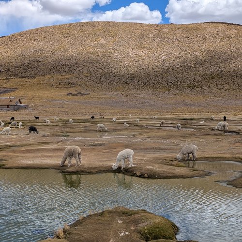Souvenir du voyage de Isabelle, Pérou