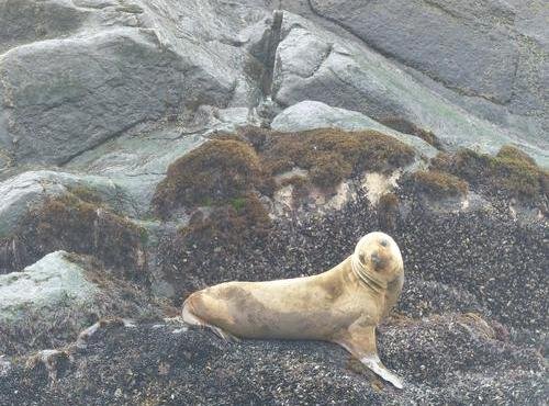Souvenir du voyage de Isabelle, Pérou