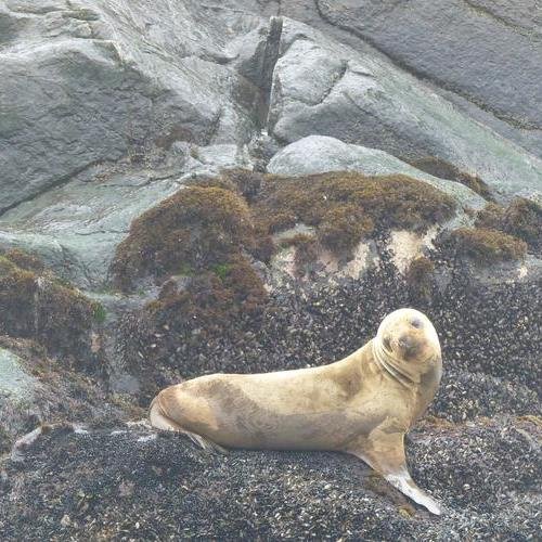 Souvenir du voyage de Isabelle, Pérou