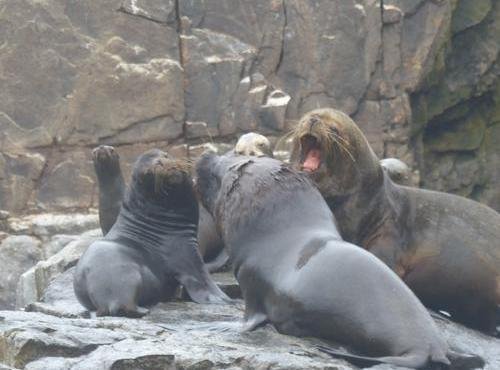 Souvenir du voyage de Isabelle, Pérou