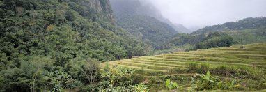 Souvenir du voyage de Krystal, Vietnam