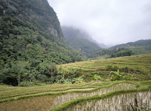 Souvenir du voyage de Krystal, Vietnam
