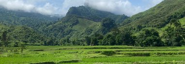 Souvenir du voyage de Sandrine, Laos