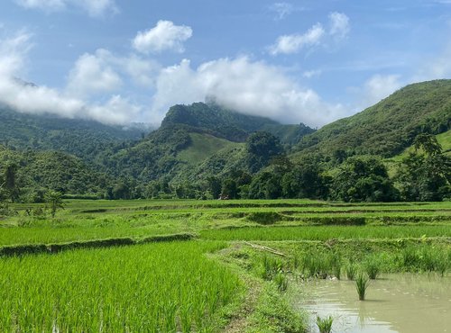 Souvenir du voyage de Sandrine, Laos