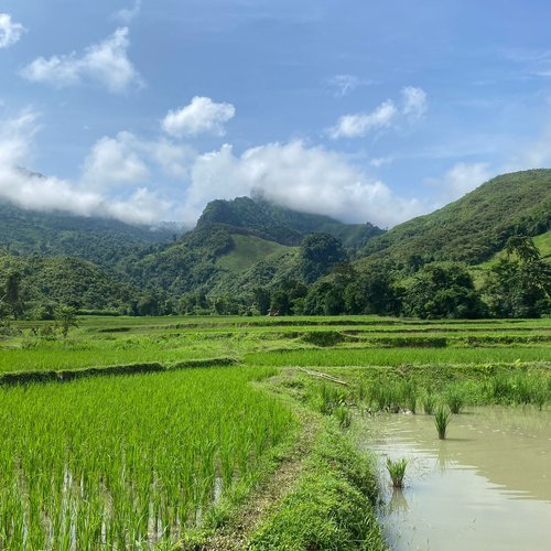 Souvenir du voyage de Sandrine, Laos