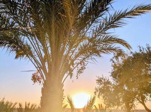 Souvenir du voyage de Isabelle, Maroc