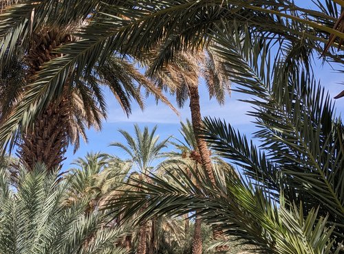 Souvenir du voyage de Isabelle, Maroc