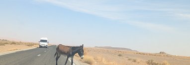 Souvenir du voyage de Isabelle, Maroc