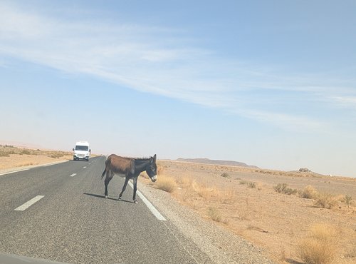 Souvenir du voyage de Isabelle, Maroc