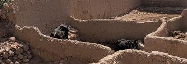 Souvenir du voyage de Isabelle, Maroc