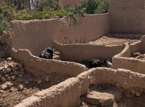 Souvenir du voyage de Isabelle, Maroc