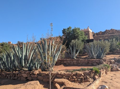 Souvenir du voyage de Isabelle, Maroc
