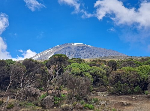 Souvenir du voyage de Florent, Tanzanie