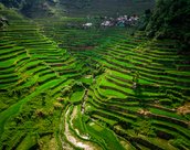Terrasses de riz de Batad dans la province d'Ifugao, île de Luzon, Philippines.