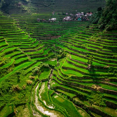 Terrasses de riz de Batad dans la province d'Ifugao, île de Luzon, Philippines.