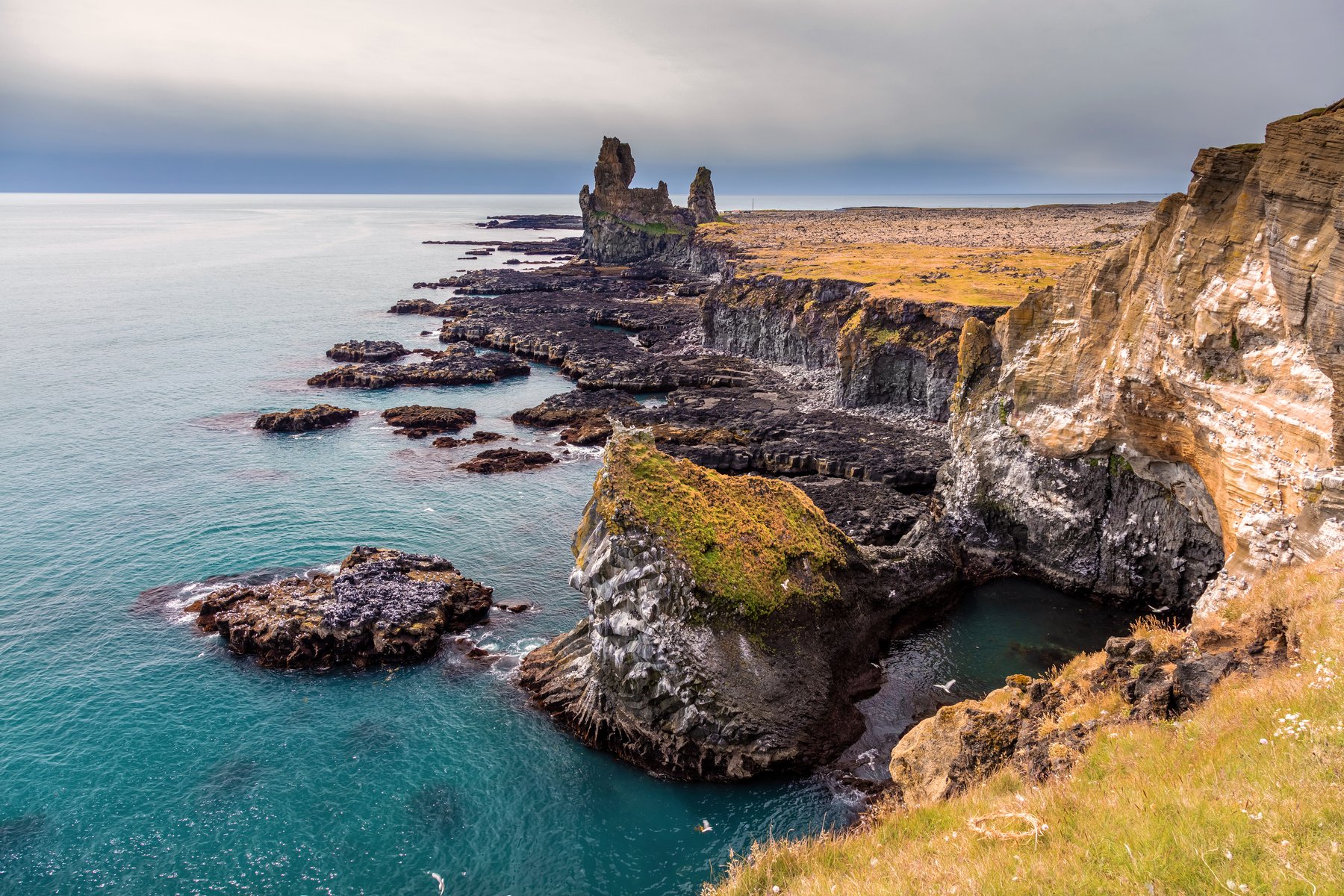 Látrabjarg en Islande