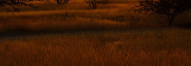 Souvenir du voyage de Annie, Namibie