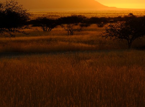 Souvenir du voyage de Annie, Namibie