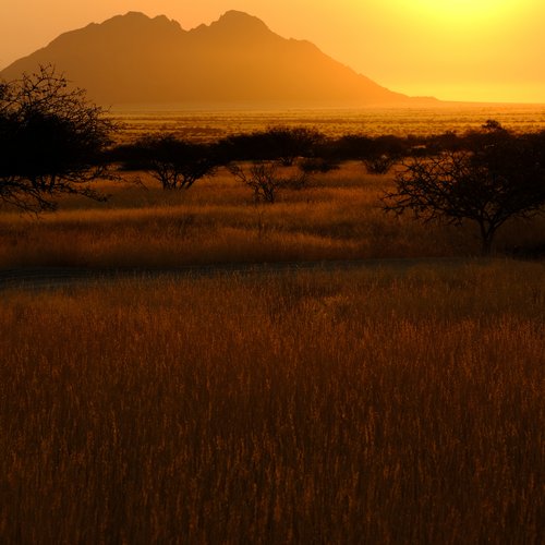Souvenir du voyage de Annie, Namibie