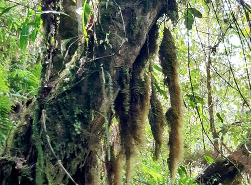 Souvenir du voyage de Sylvie, Costa Rica