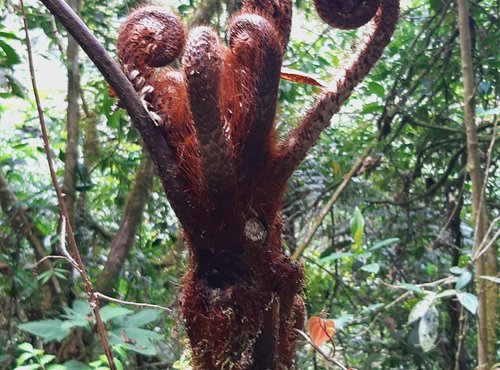 Souvenir du voyage de Sylvie, Costa Rica