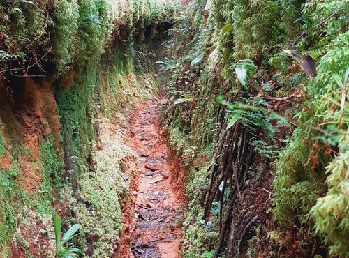 Souvenir du voyage de Sylvie, Costa Rica